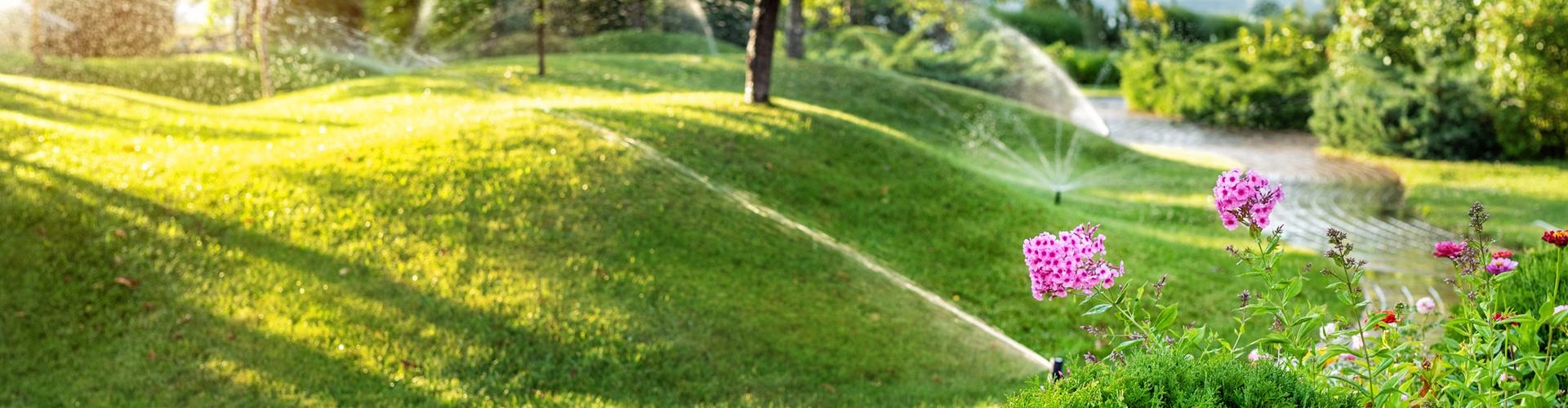 PROFIBEWÄSSERUNG - Bieringer Gregor Ternberg