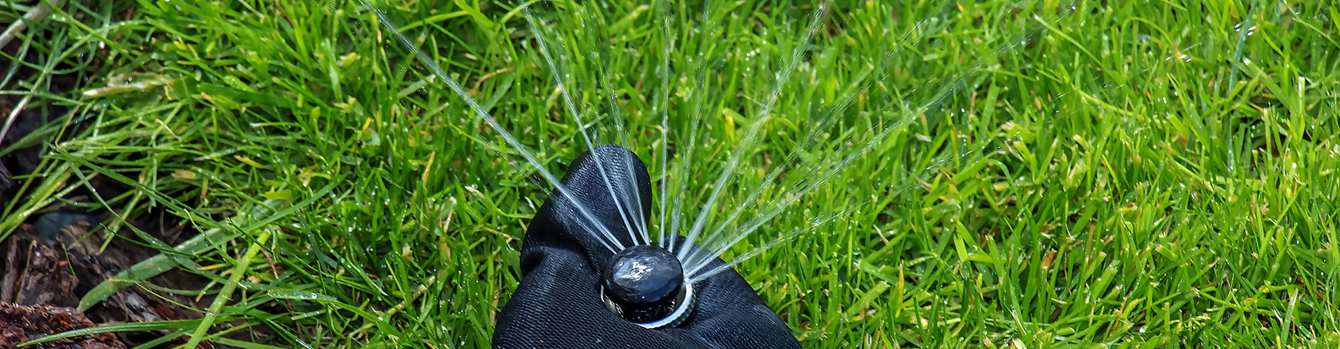 PROFIBEWÄSSERUNG - Bieringer Gregor Ternberg