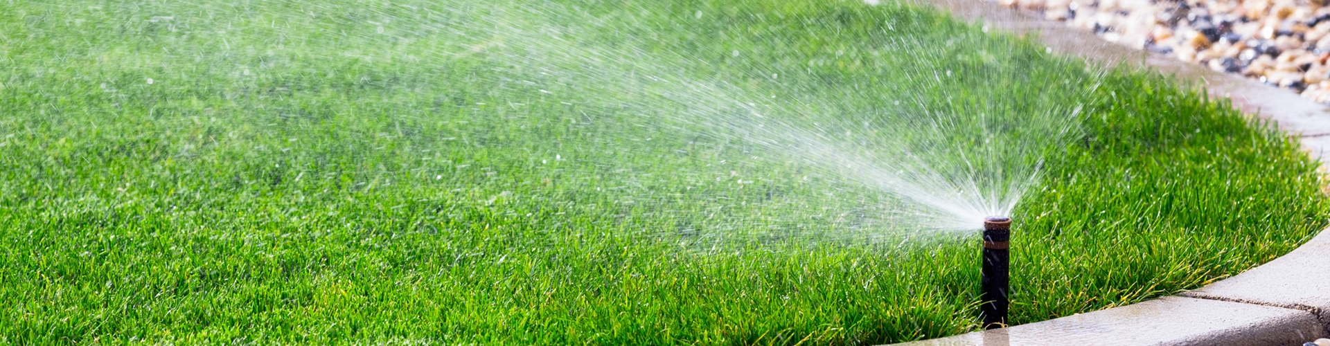 PROFIBEWÄSSERUNG - Bieringer Gregor Ternberg