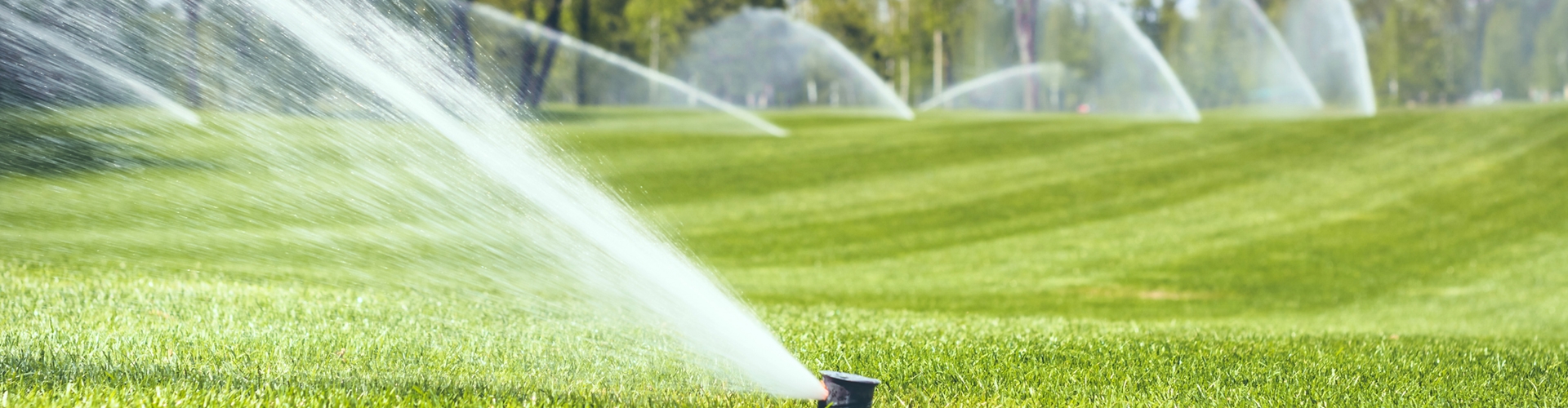 PROFIBEWÄSSERUNG - Bieringer Gregor Ternberg