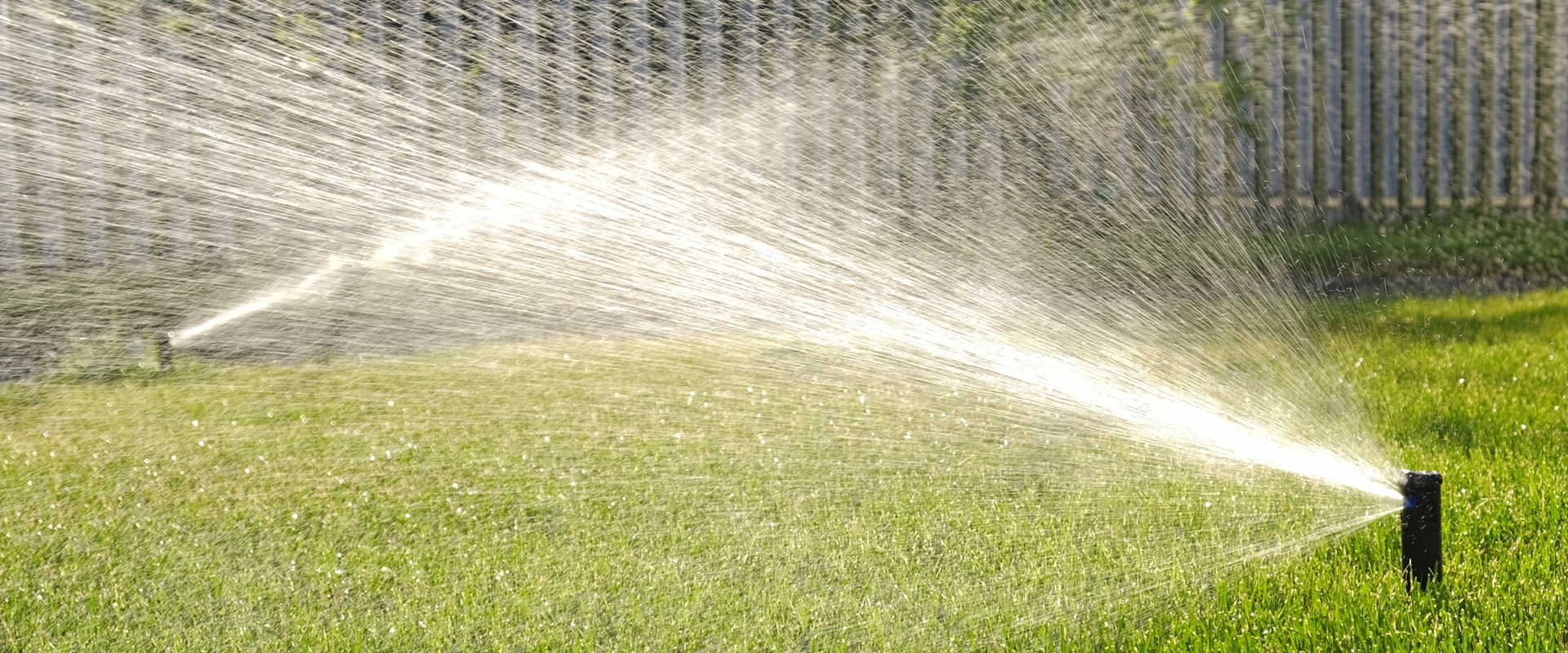 PROFIBEWÄSSERUNG - Bieringer Gregor Ternberg