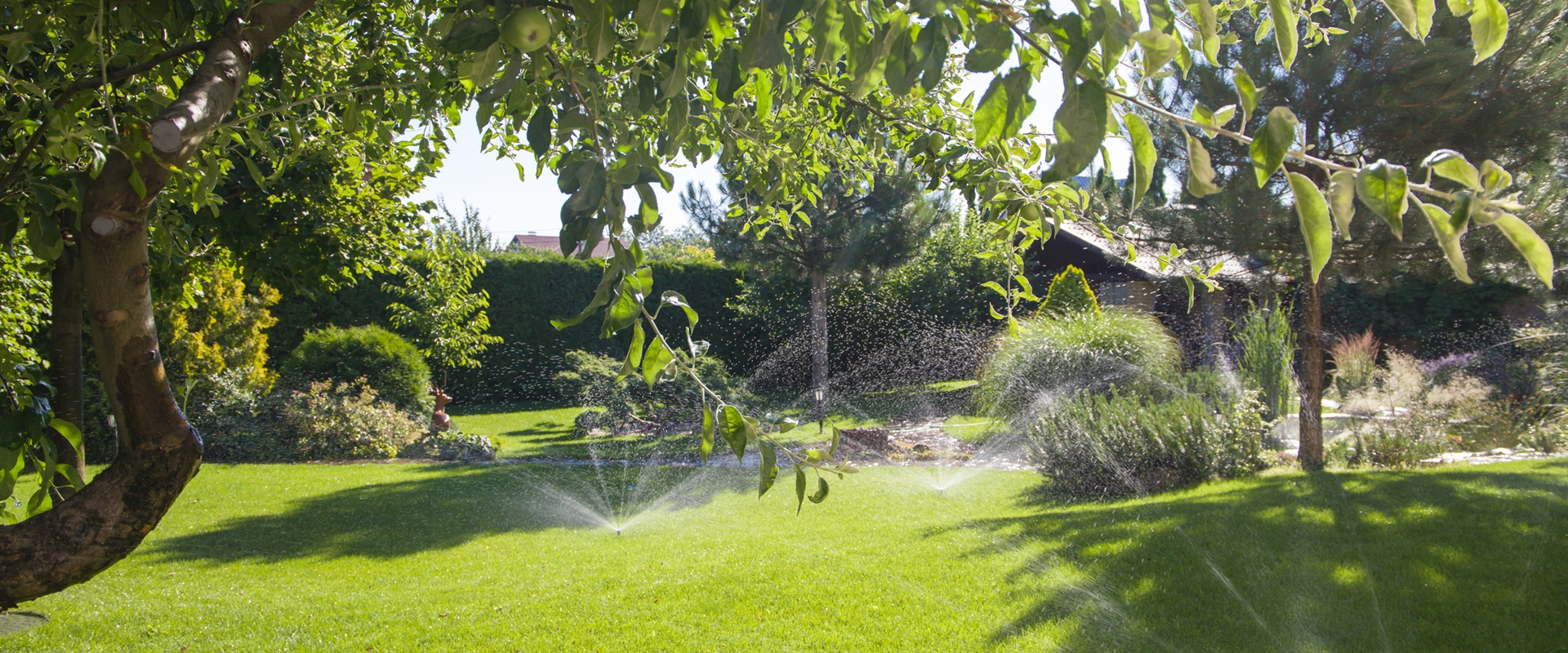 PROFIBEWÄSSERUNG - Bieringer Gregor Ternberg